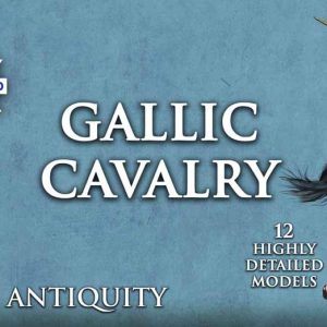 Ancient Gallic Cavalry